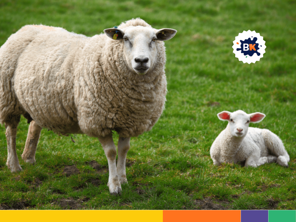 Mythology About Sheep Mythology About Sheep