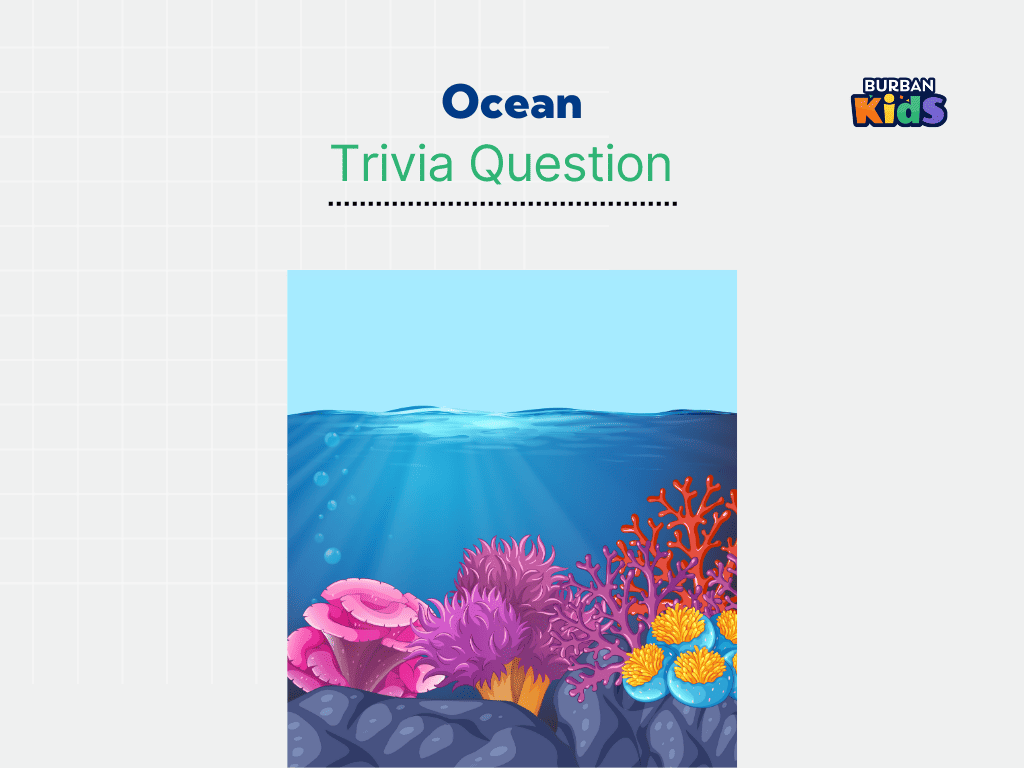 Ocean Trivia Question
