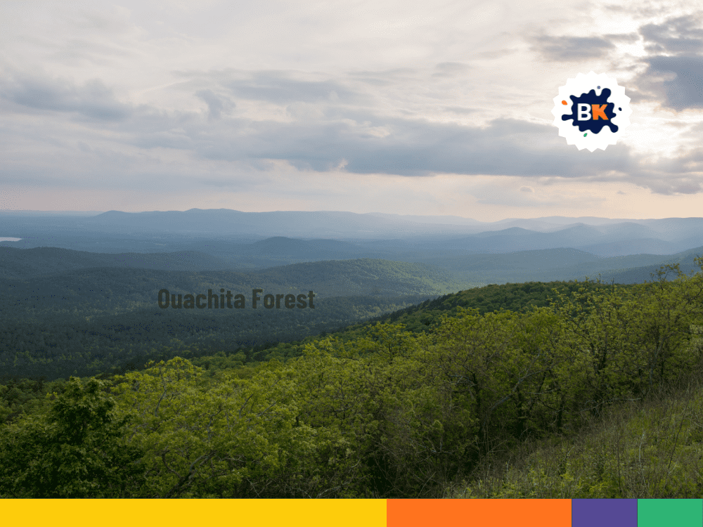 Oklahoma's Ouachita Forest Oklahoma's Ouachita Forest