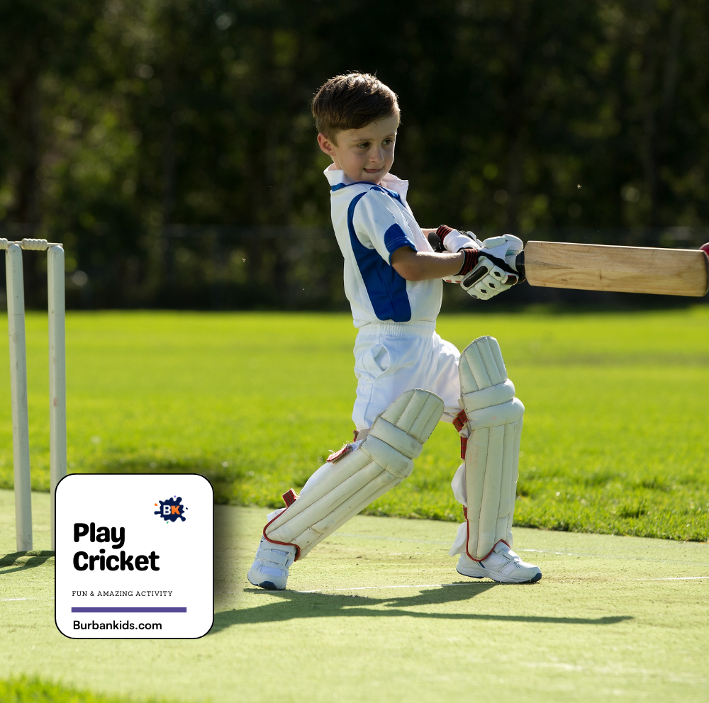 Play Cricket Play Cricket