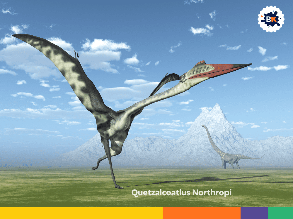 Quetzalcoatlus Northropi Quetzalcoatlus Northropi