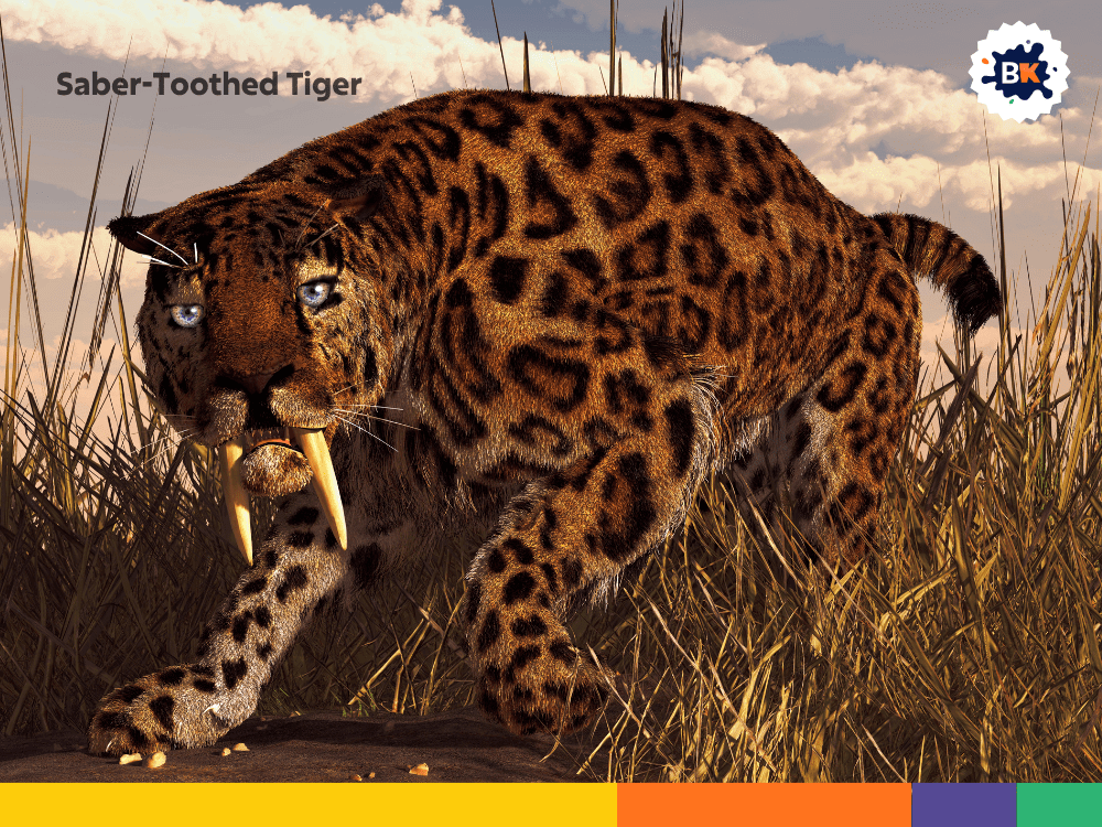 Saber-Toothed Tiger Saber-Toothed Tiger