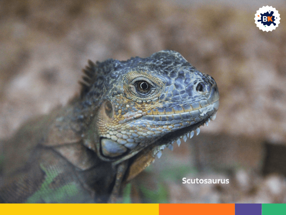 Scutosaurus Scutosaurus