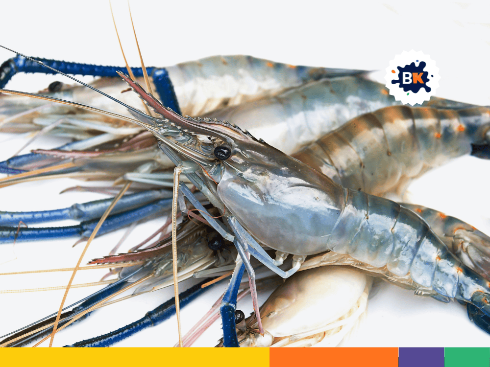 Shrimp Has Antioxidants Shrimp Has Antioxidants