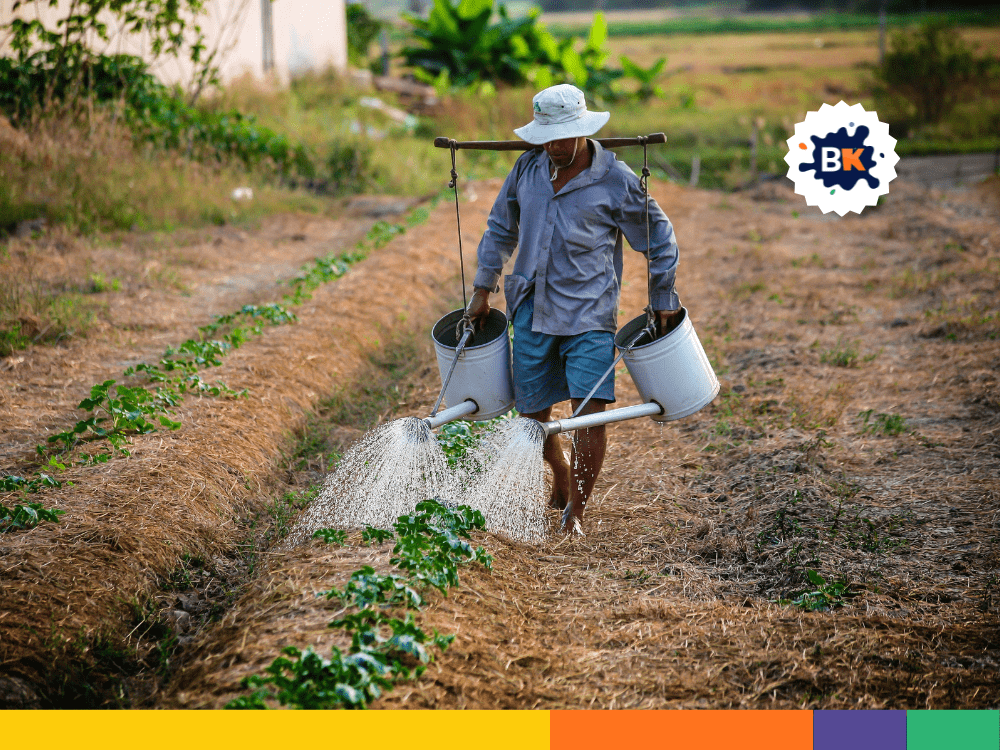 Small Agricultural Sector Of South Africa Small Agricultural Sector Of South Africa