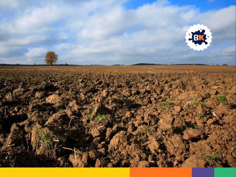Soil: A Valuable Source Of Raw Materials Soil: A Valuable Source Of Raw Materials