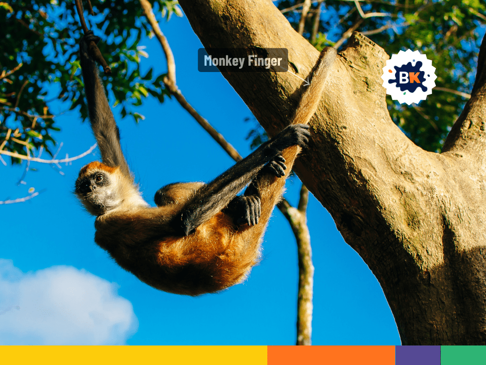 Monkey's Prehensile Tails Monkey's Prehensile Tails