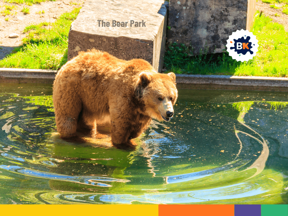The Bear Park of Bern The Bear Park of Bern