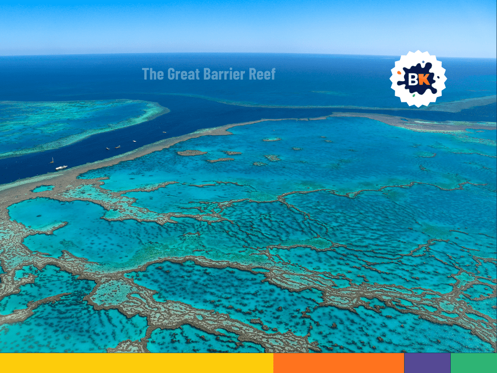 The Great Barrier Reef In New Caledonia The Great Barrier Reef In New Caledonia