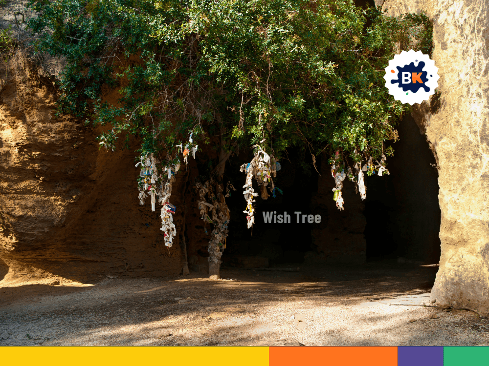 The Wish Tree Of Cyprus The Wish Tree Of Cyprus