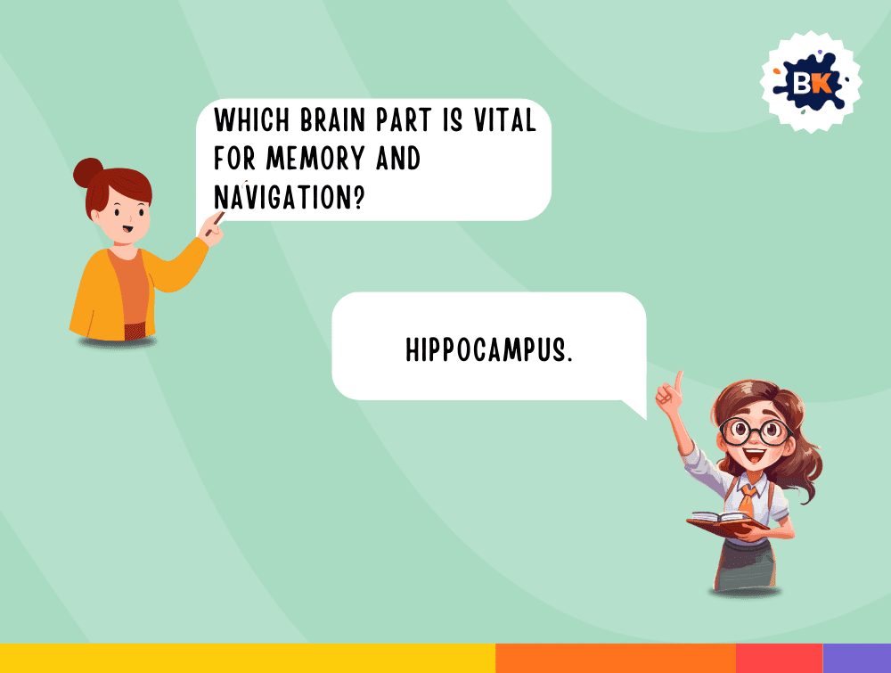 Thoughtful Psychology Trivia Questions For Kids Thoughtful Psychology Trivia Questions For Kids
