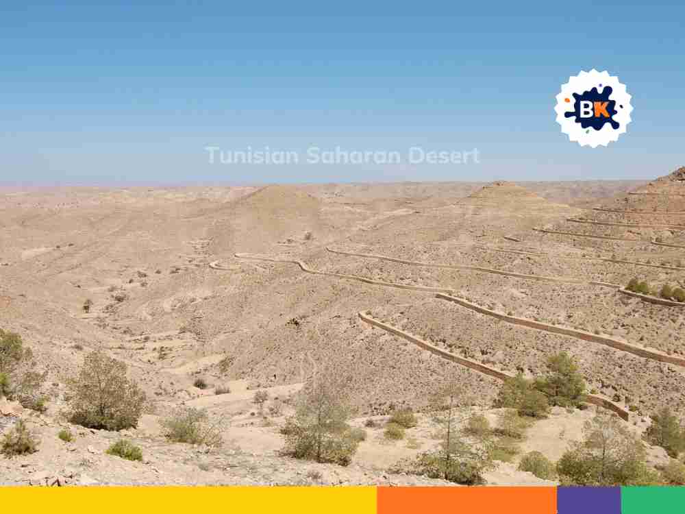 Tunis Saharan Desert Tunis Saharan Desert