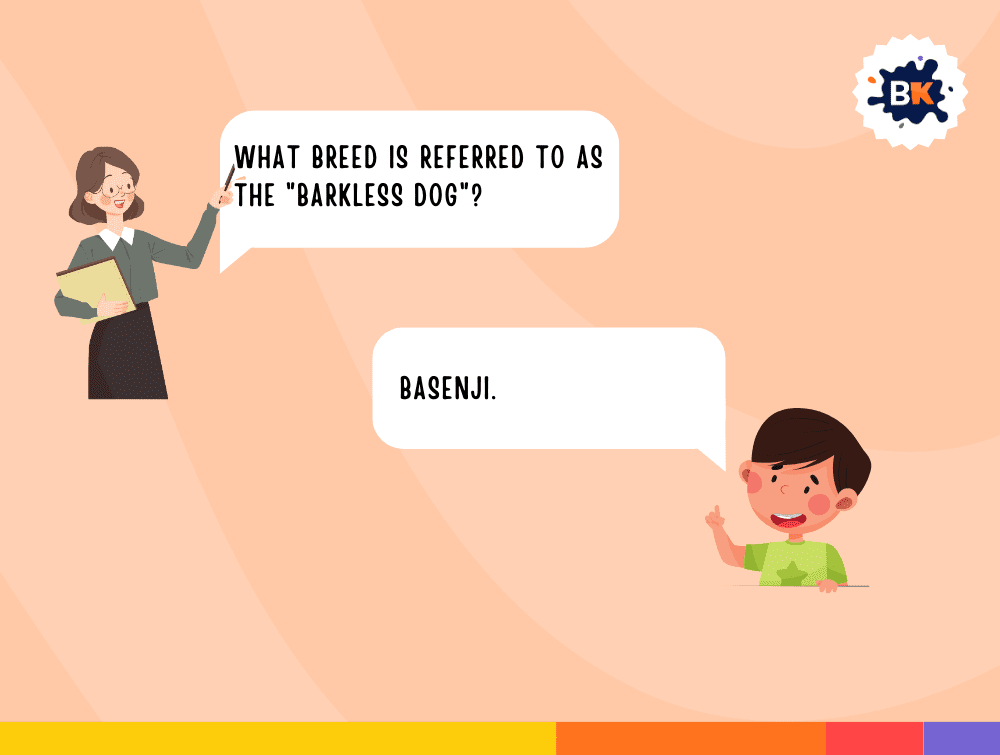 Wise Dog Trivia Questions For Kids