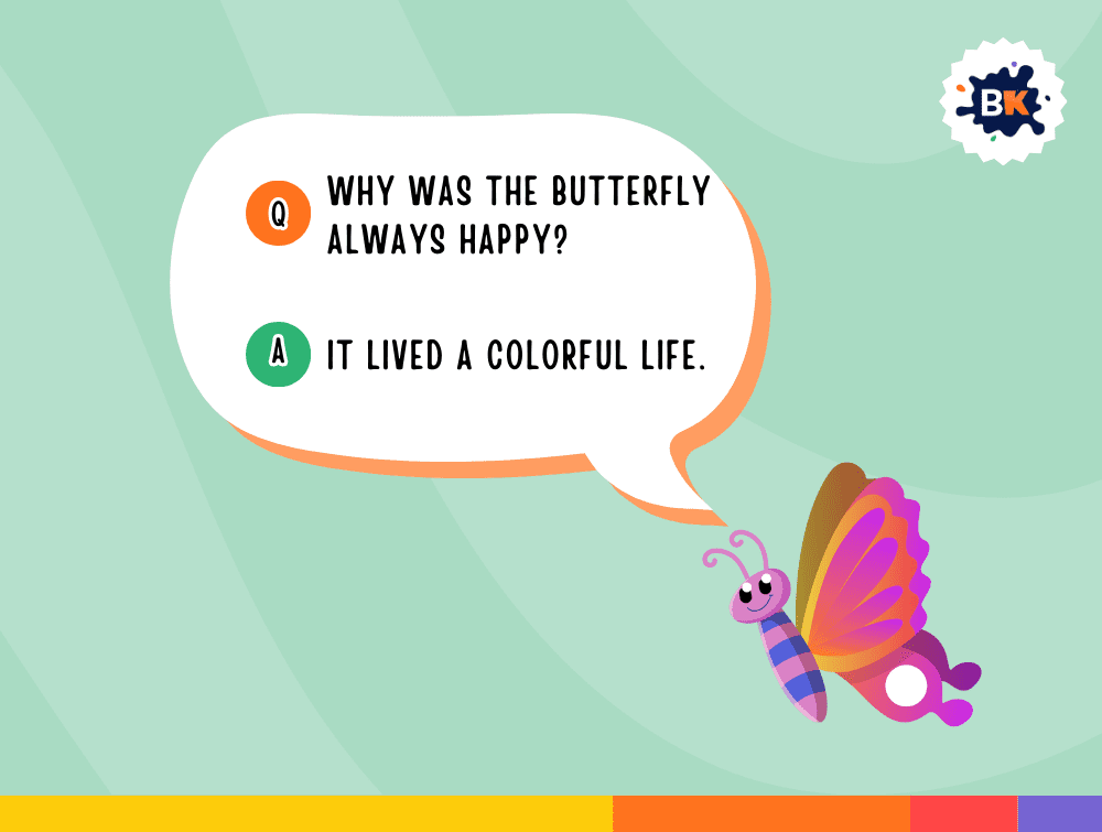 Amazing Butterfly Riddles For Kids