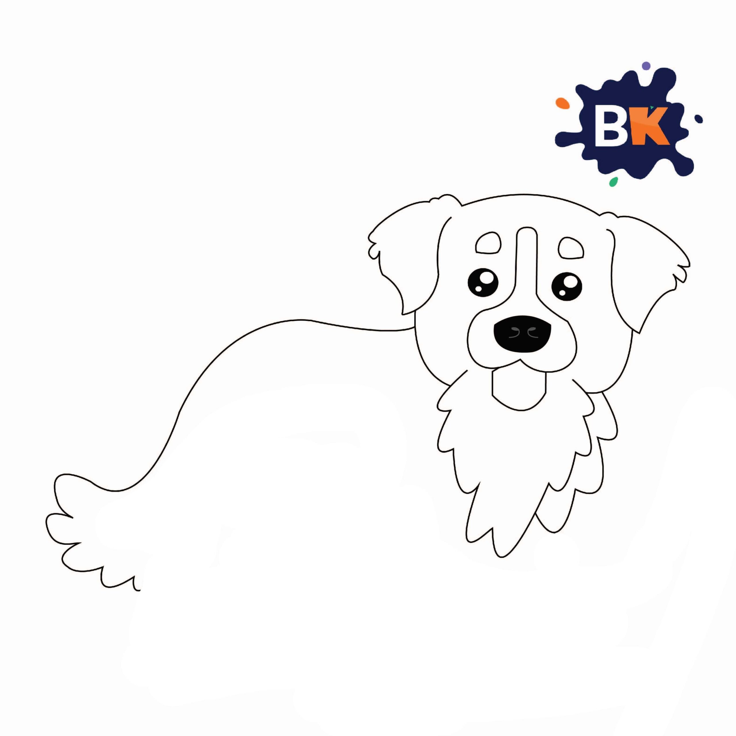 How to Draw a Bernese Mountain Dog Step 5 How to Draw a Bernese Mountain Dog Step 5