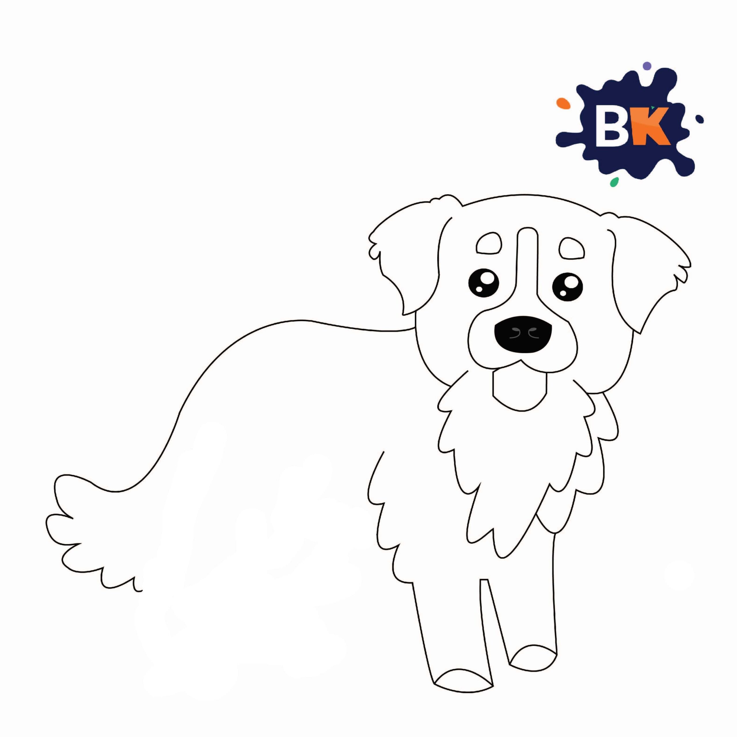 How to Draw a Bernese Mountain Dog Step 6 How to Draw a Bernese Mountain Dog Step 6