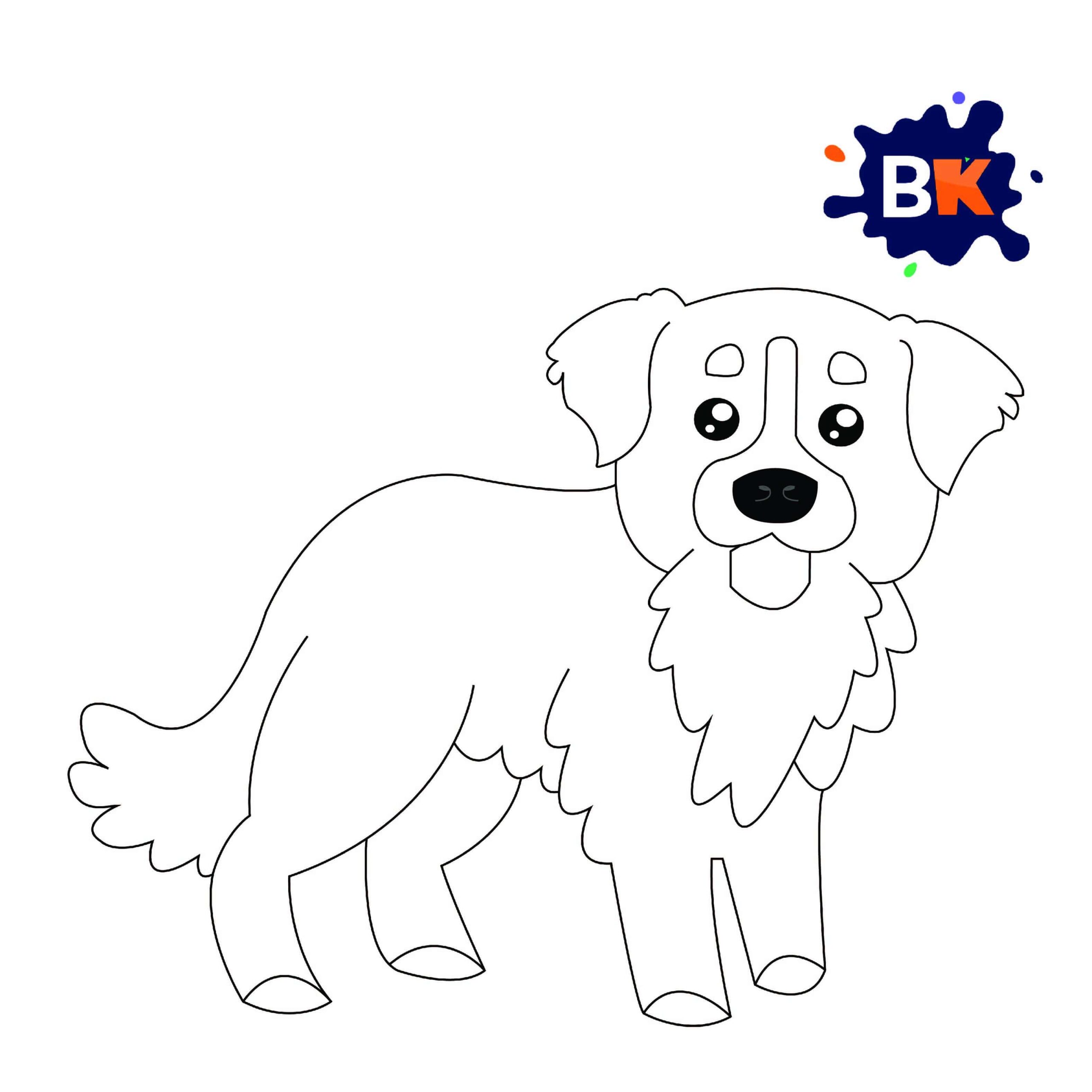 How to Draw a Bernese Mountain Dog Step 7 How to Draw a Bernese Mountain Dog Step 7