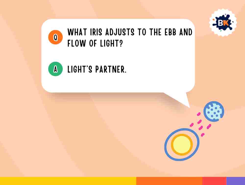Best Eye Riddles For Kids Best Eye Riddles For Kids