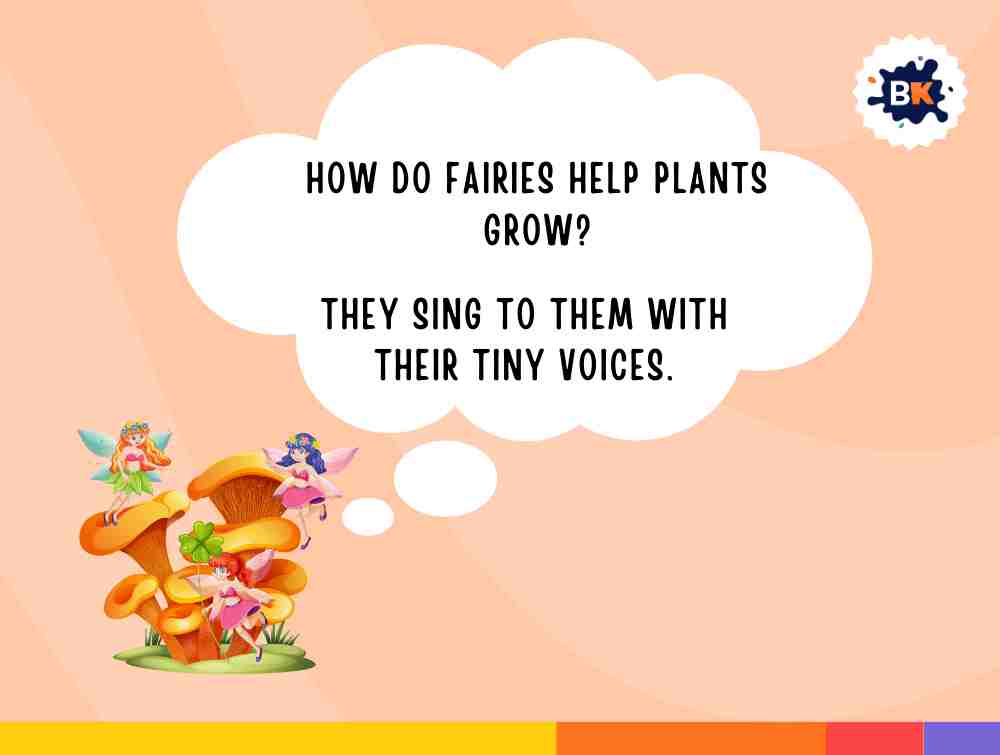 Excited Fairy Riddles For Kids