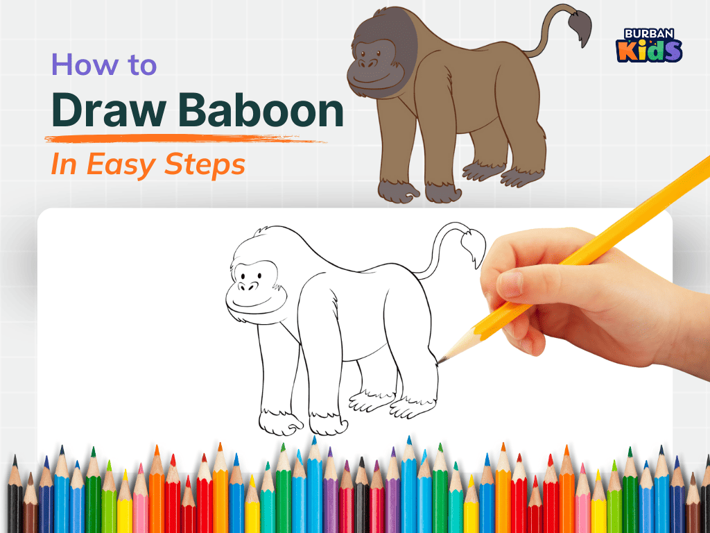 How to Draw Baboon