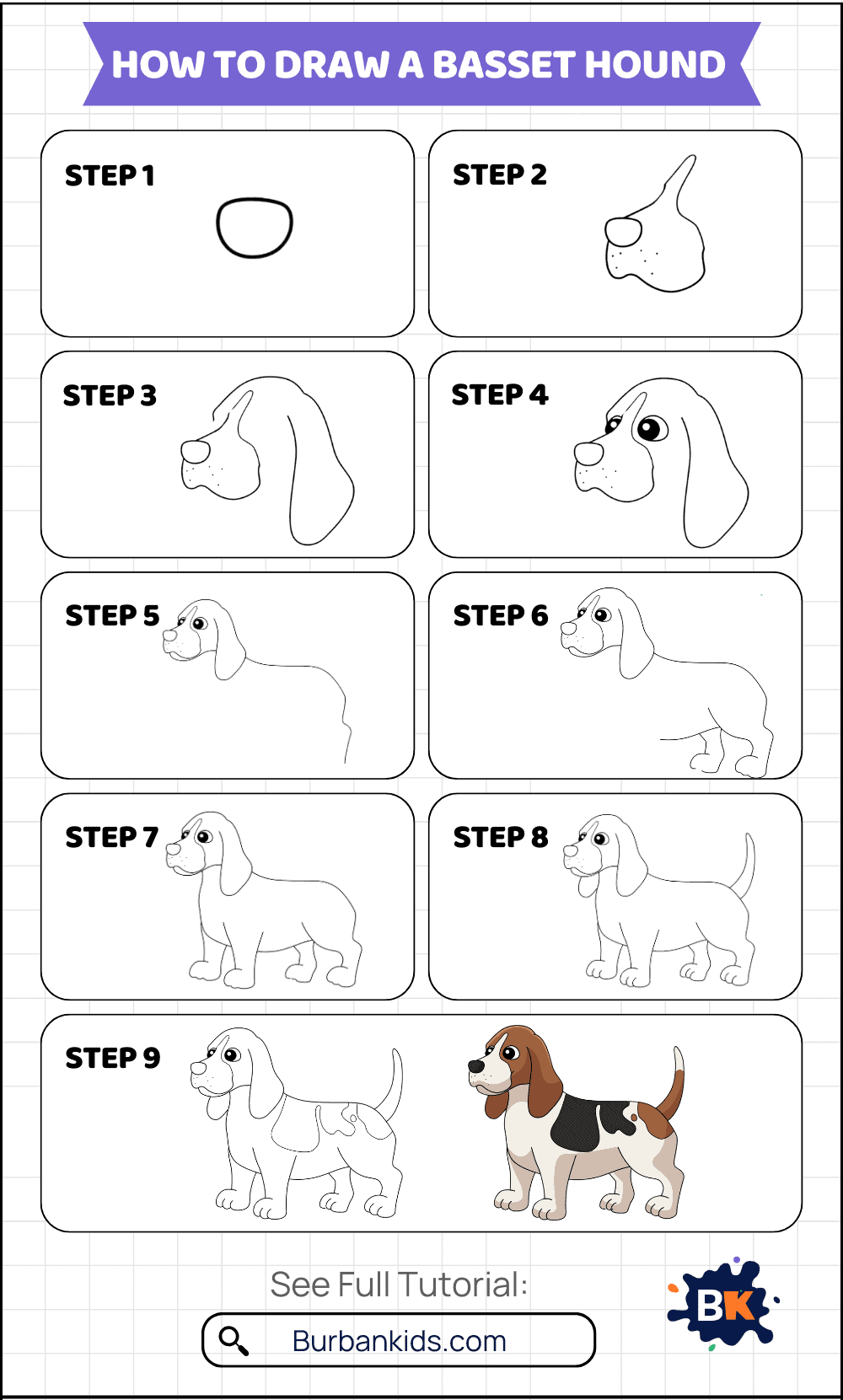 How to Draw Basset Hound How to Draw Basset Hound