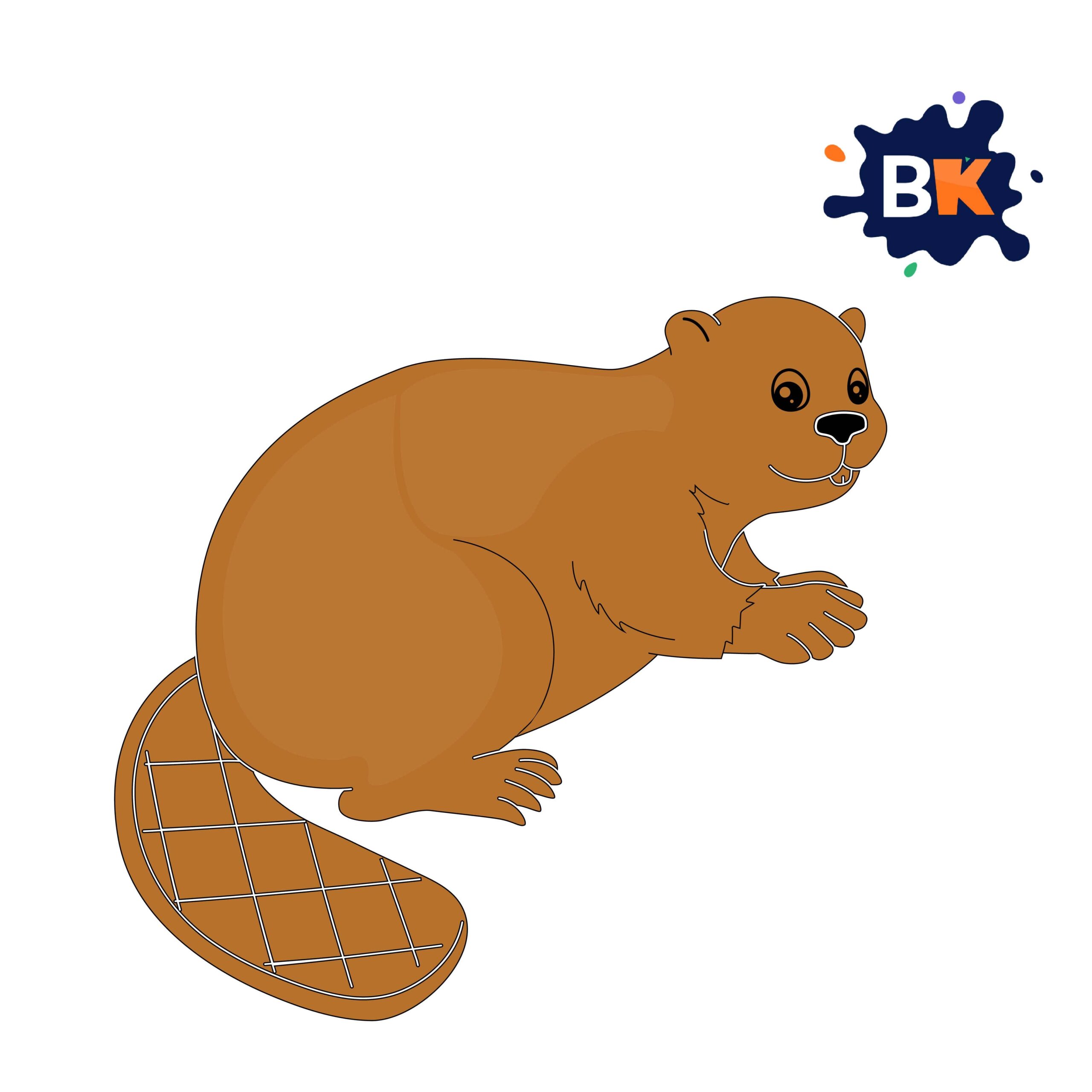 How to Draw Beaver Step 10 How to Draw Beaver Step 10