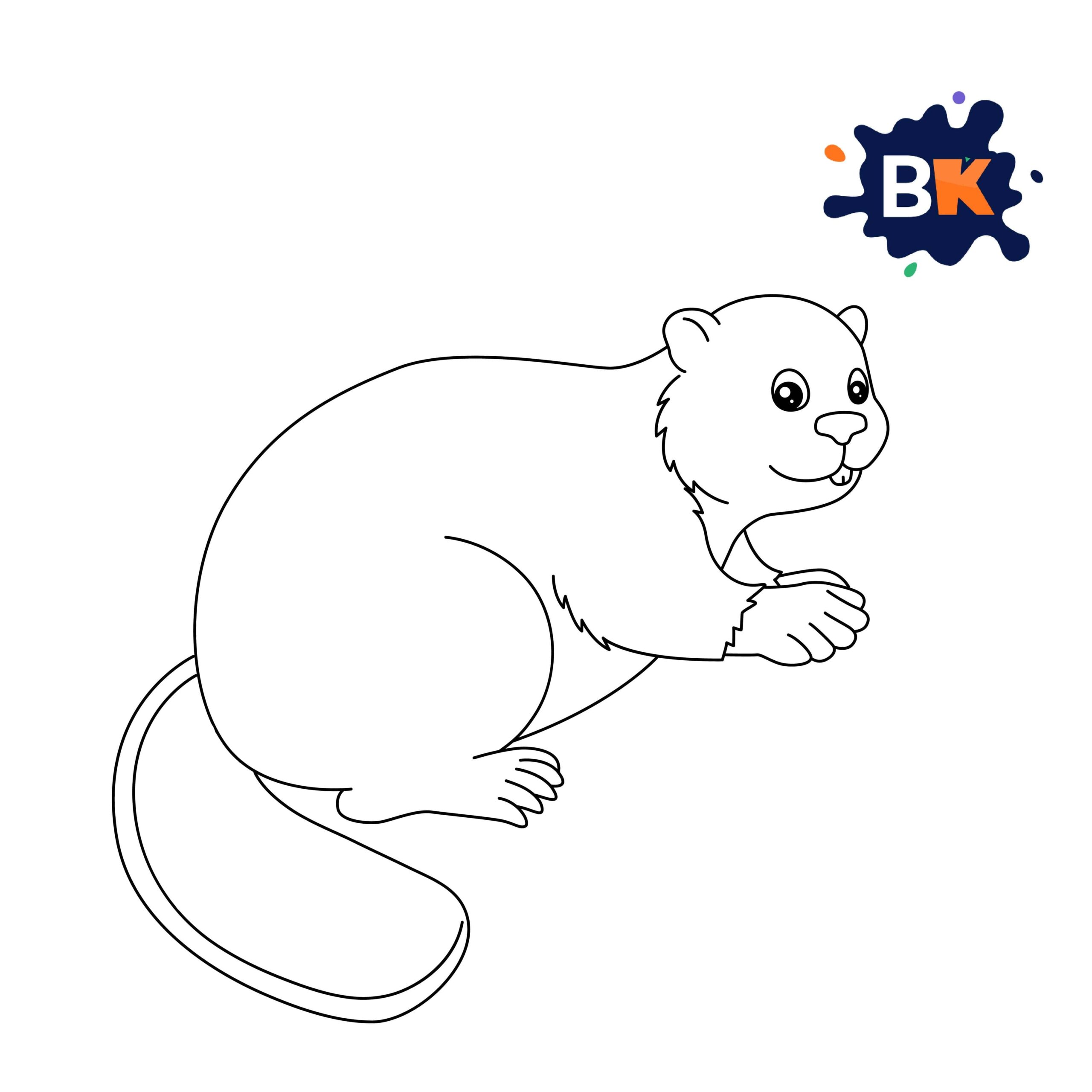 How to Draw Beaver Step 8 How to Draw Beaver Step 8