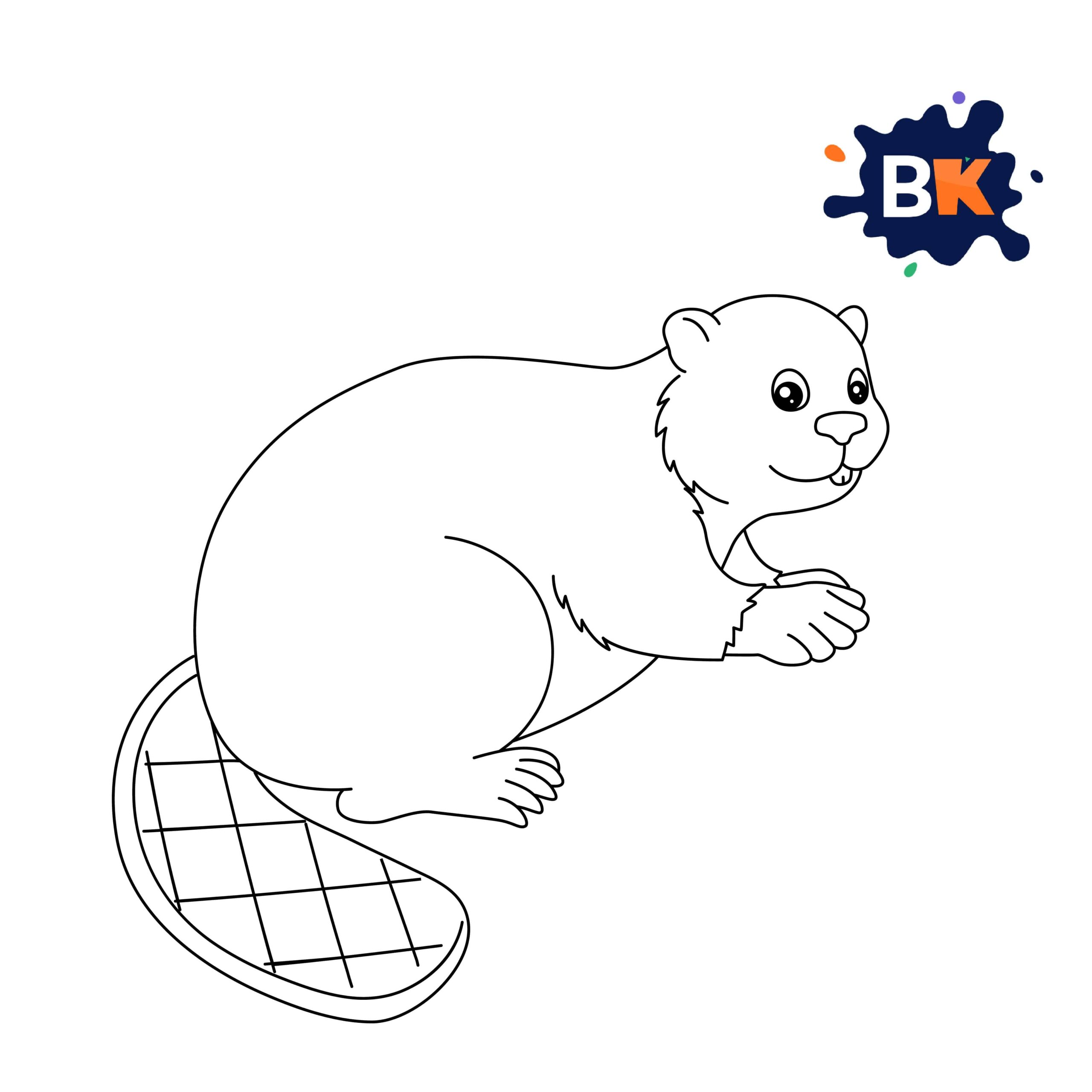 How to Draw Beaver Step 9 How to Draw Beaver Step 9