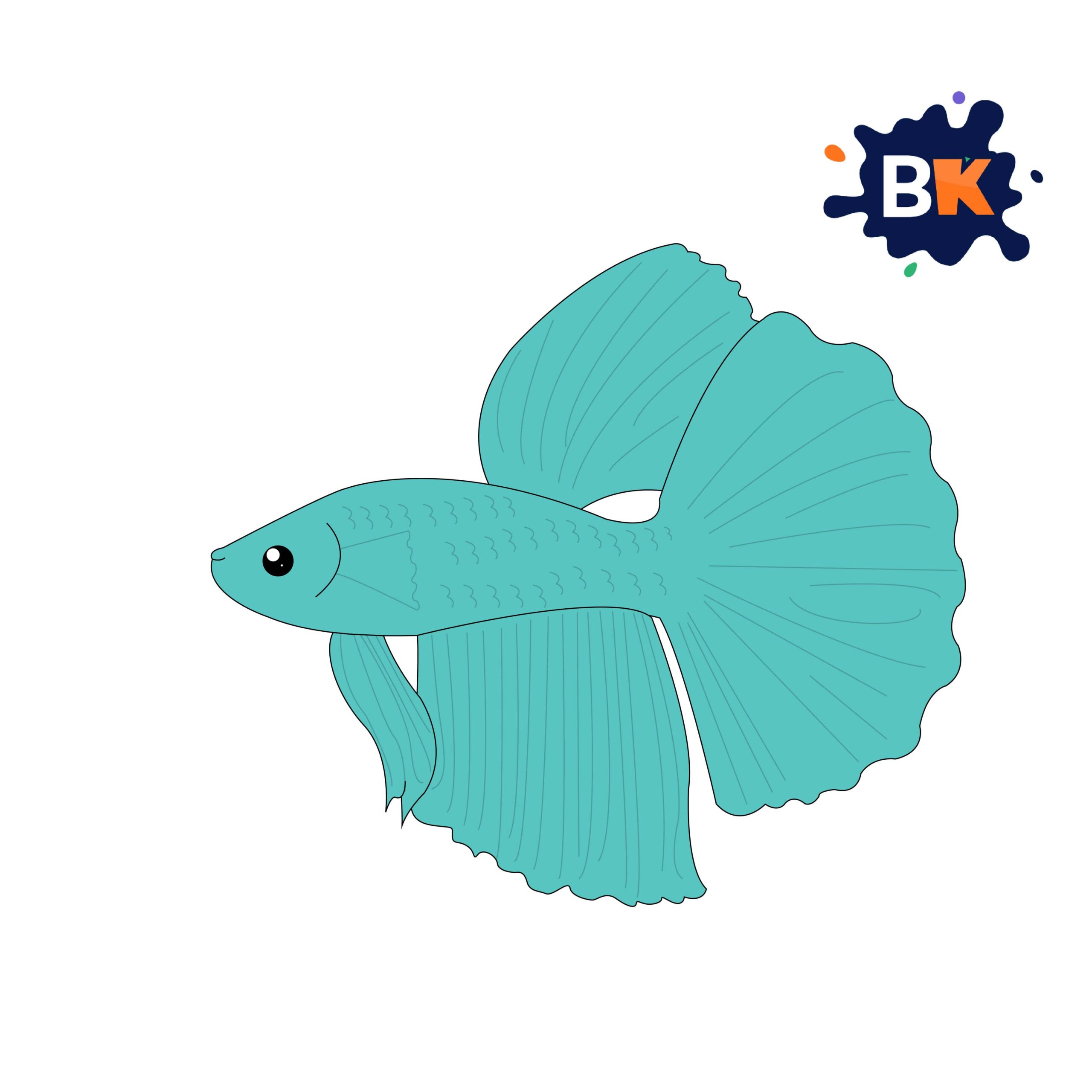 How to Draw a Betta Fish Step 10 How to Draw a Betta Fish Step 10