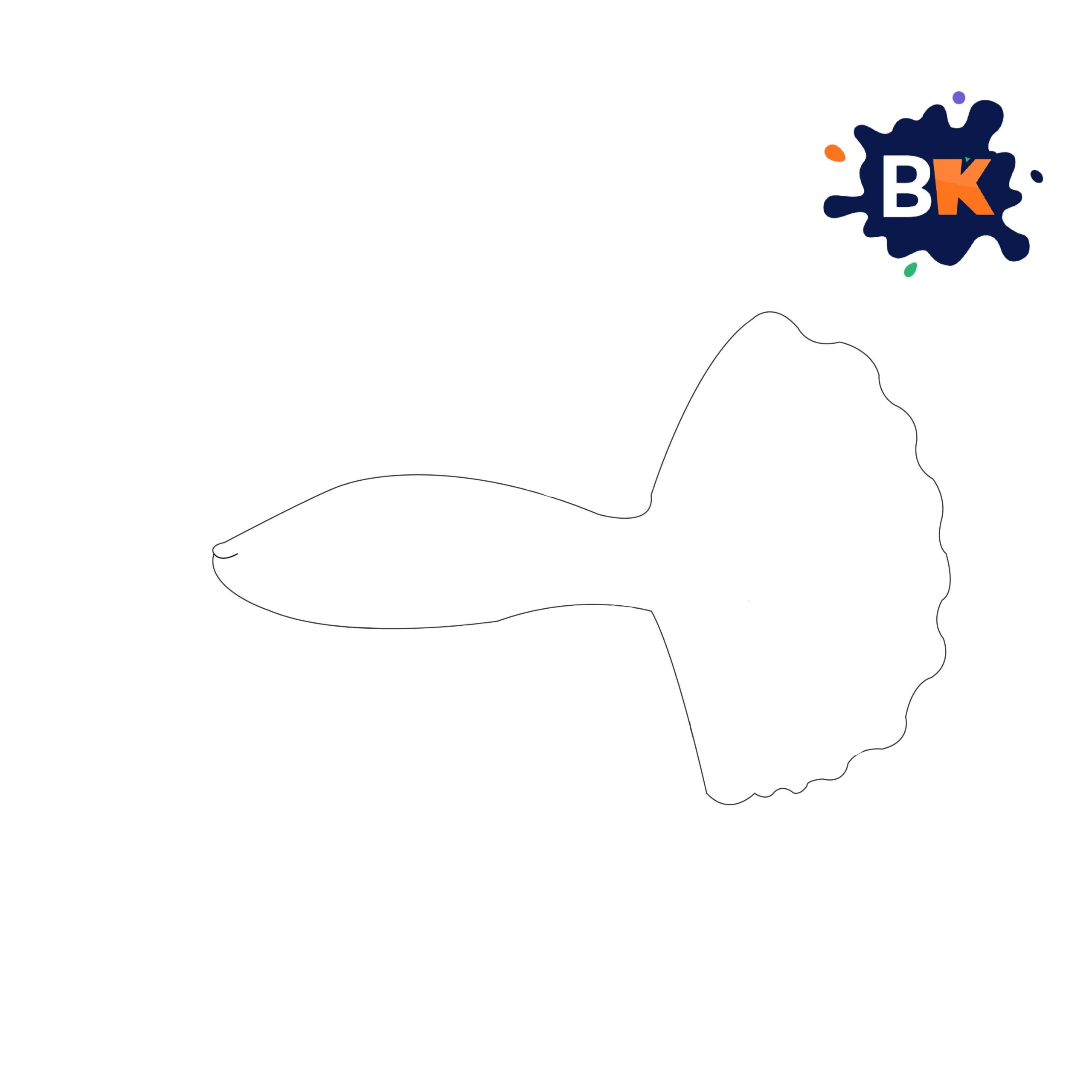 How to Draw a Betta Fish Step 3 How to Draw a Betta Fish Step 3