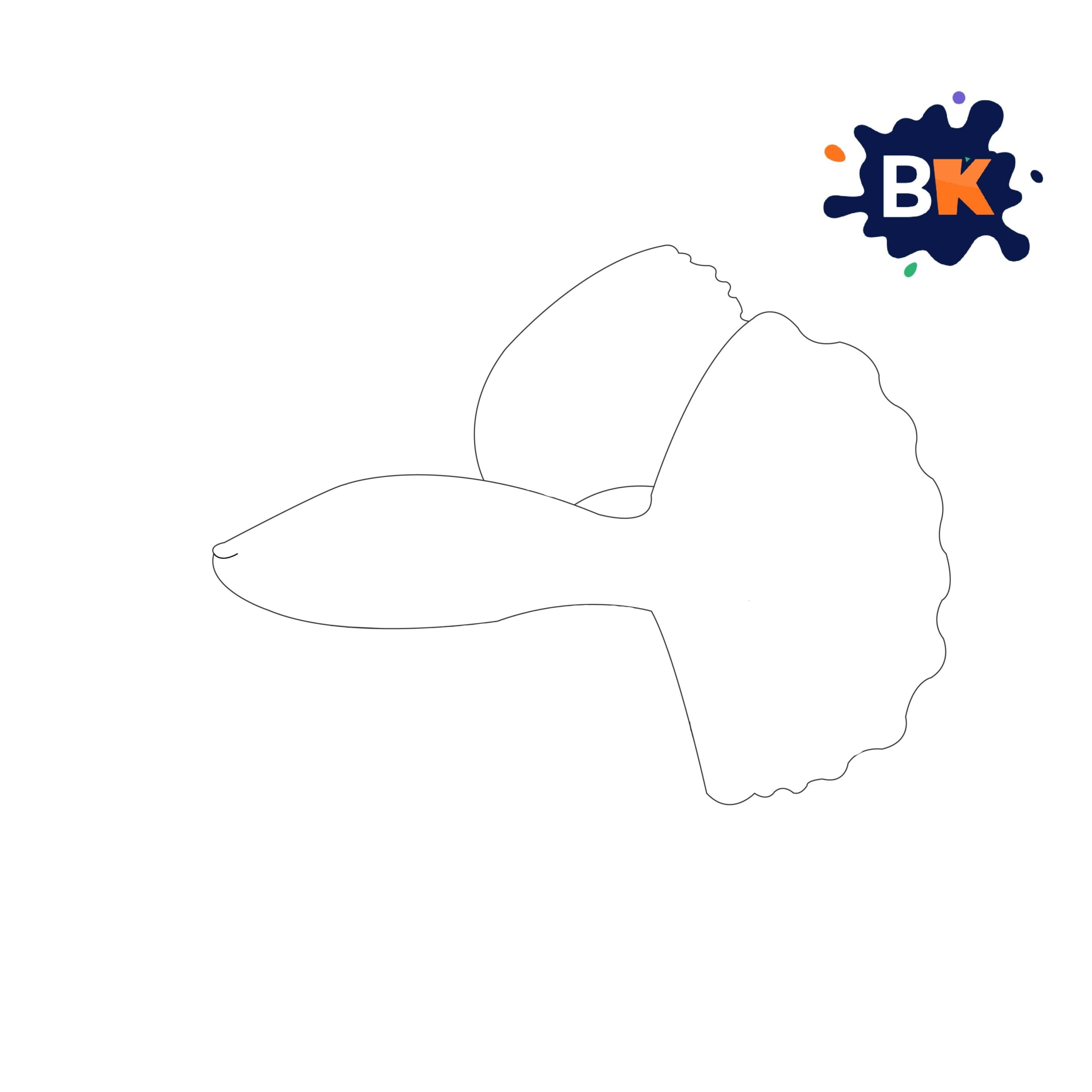 How to Draw a Betta Fish Step 4 How to Draw a Betta Fish Step 4