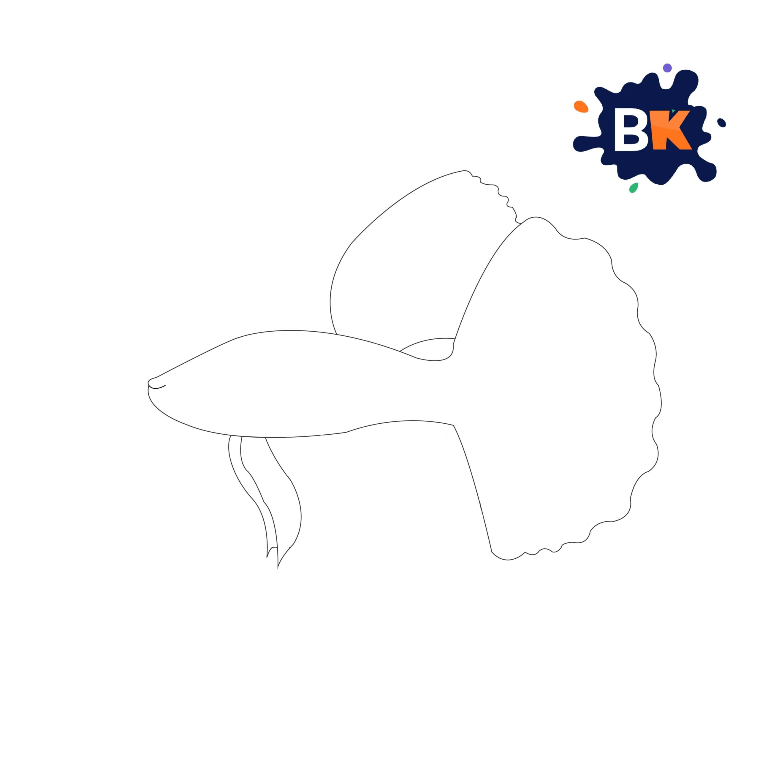 How to Draw a Betta Fish Step 5 How to Draw a Betta Fish Step 5
