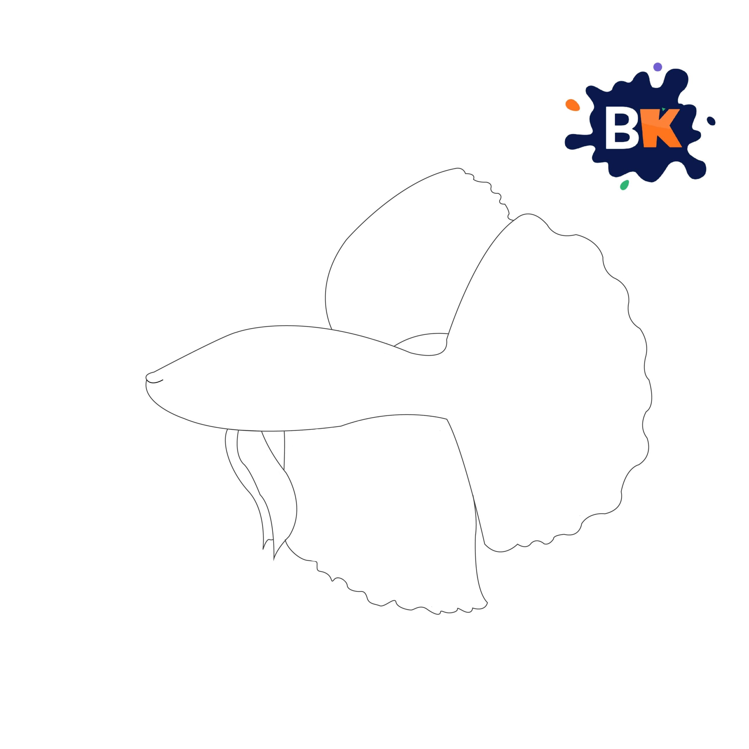 How to Draw a Betta Fish Step 6 How to Draw a Betta Fish Step 6
