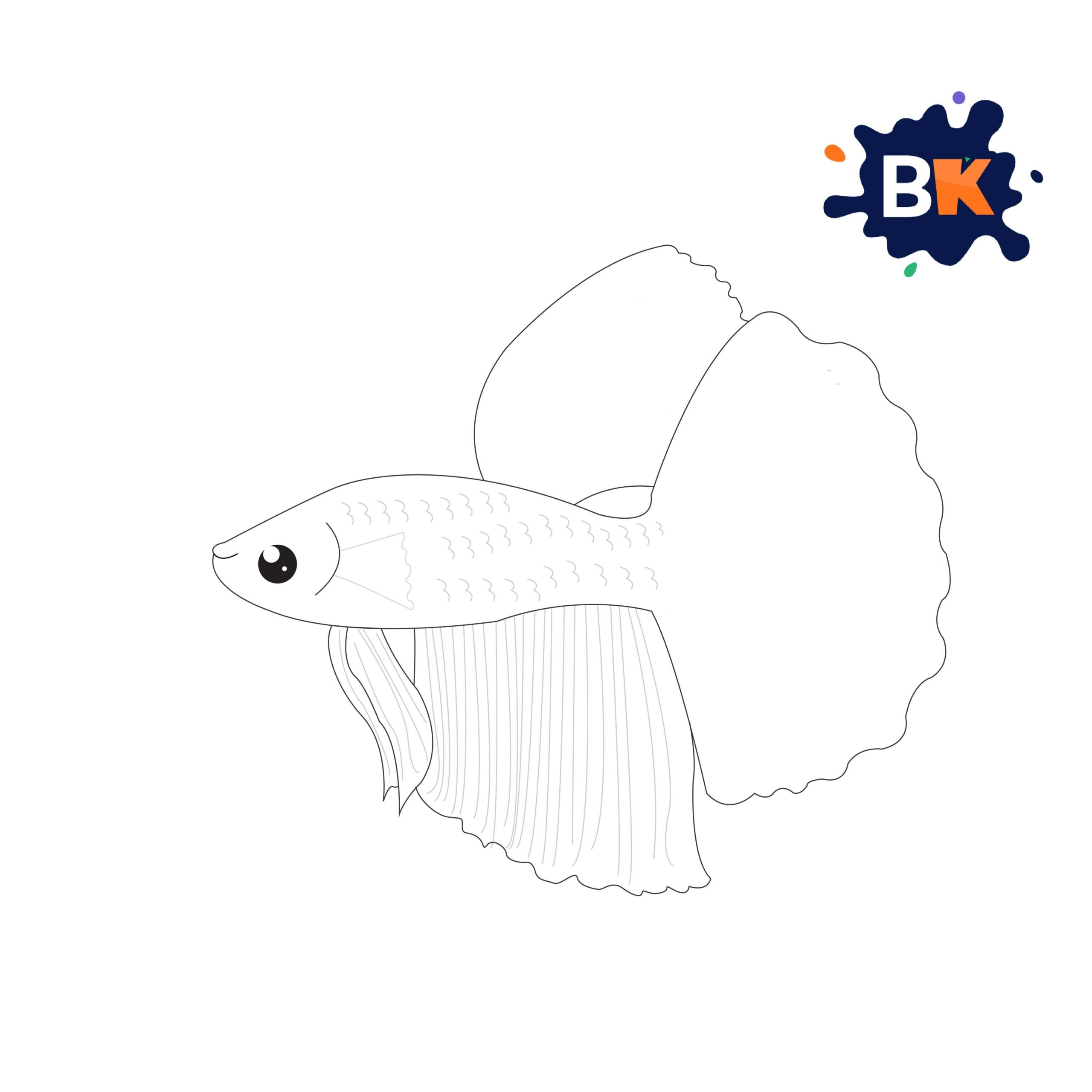 How to Draw a Betta Fish Step 8 How to Draw a Betta Fish Step 8