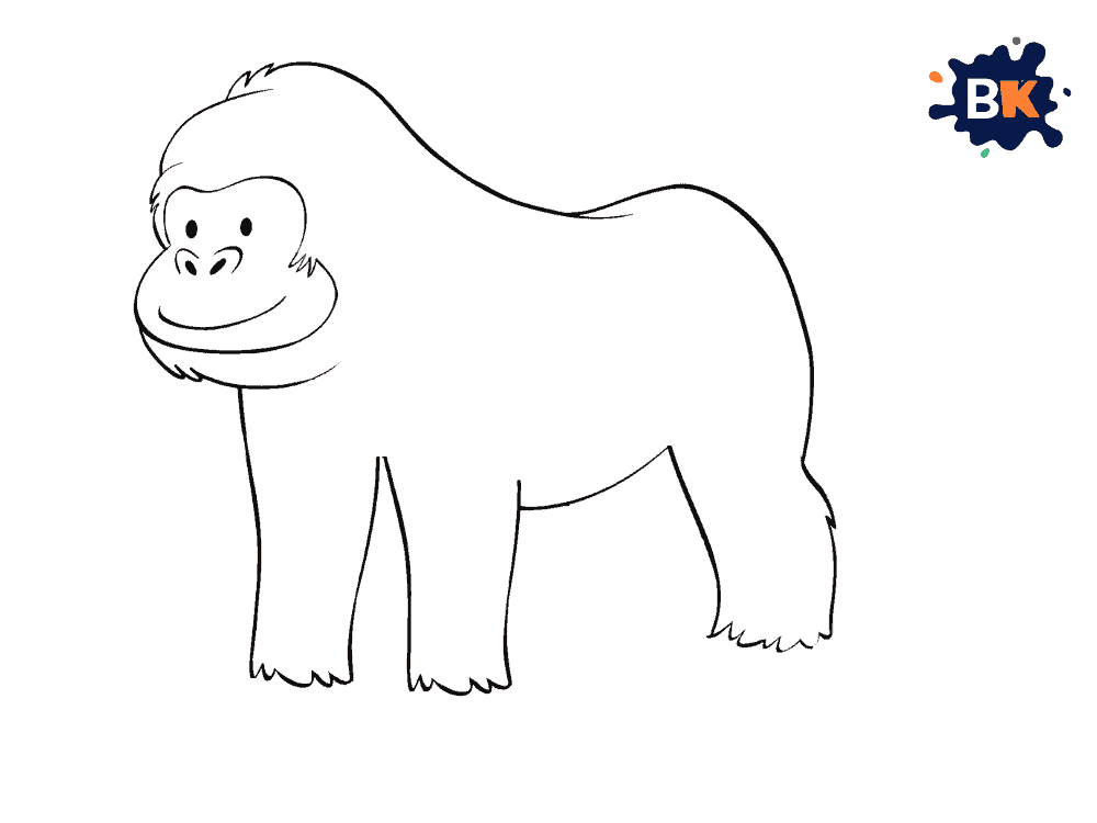 How to Draw a Baboon Step 4 How to Draw a Baboon Step 4