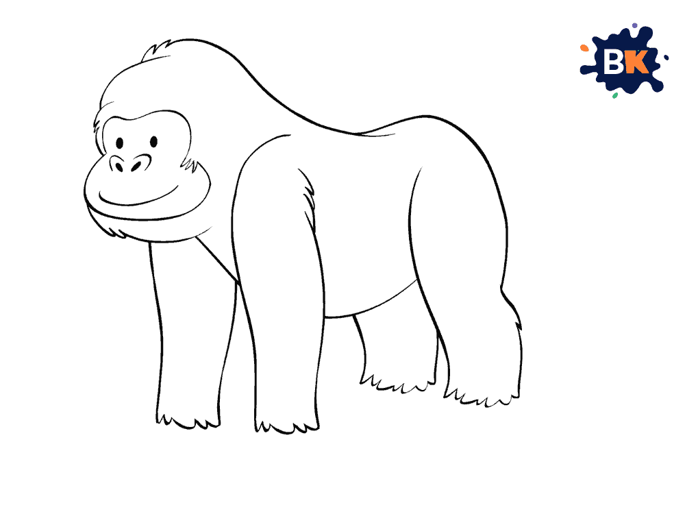 How to Draw a Baboon Step 5 How to Draw a Baboon Step 5