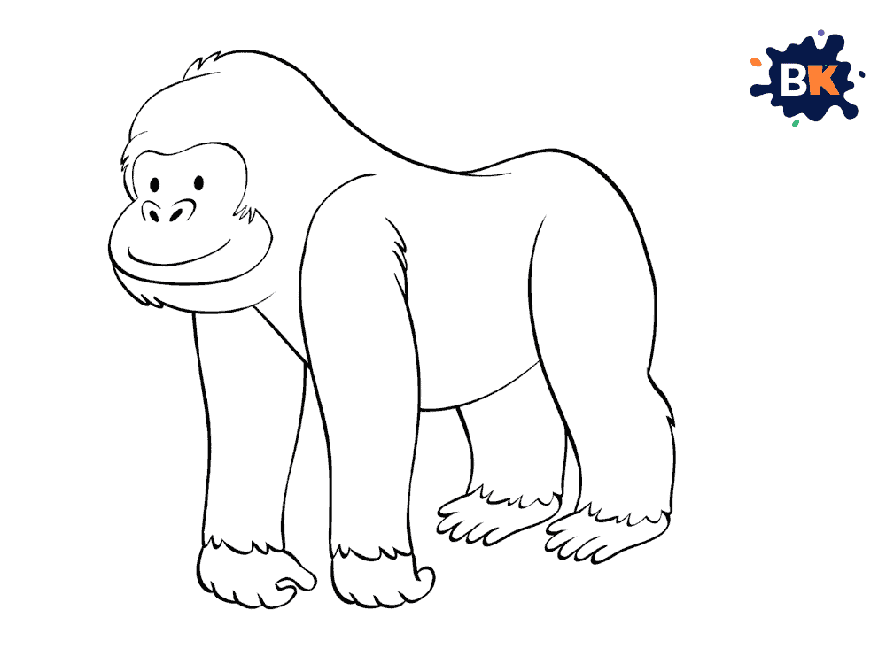 How to Draw a Baboon Step 6 How to Draw a Baboon Step 6