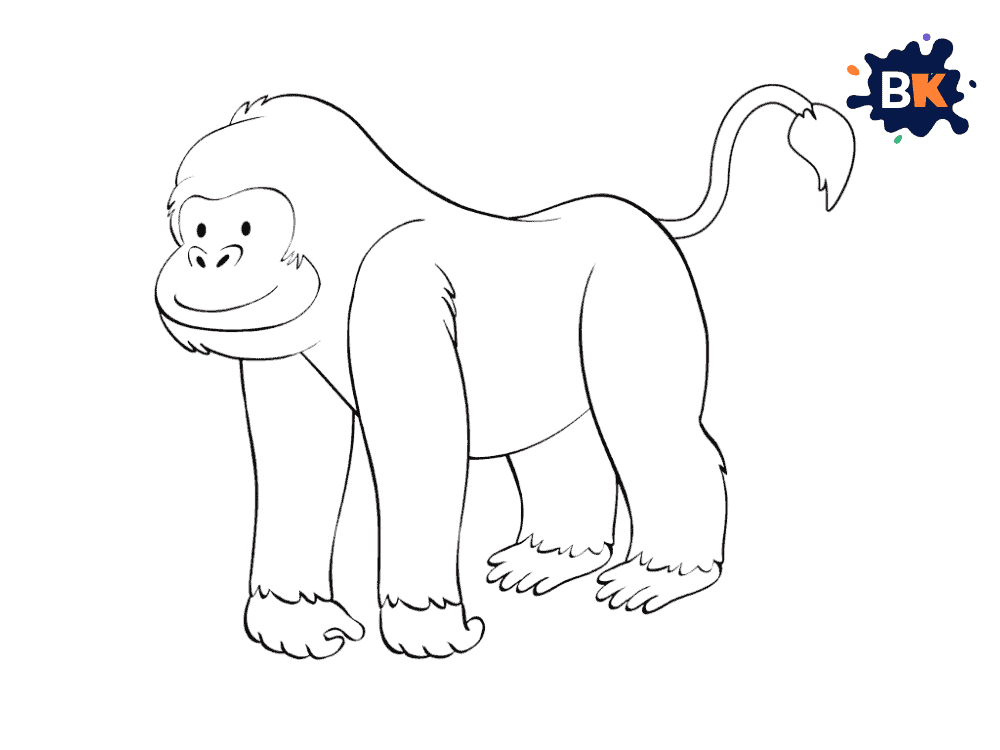 How to Draw a Baboon Step 7 How to Draw a Baboon Step 7