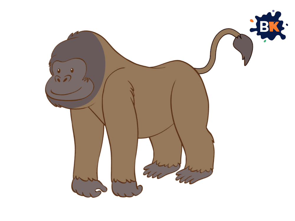 How to Draw a Baboon Step 8 How to Draw a Baboon Step 8