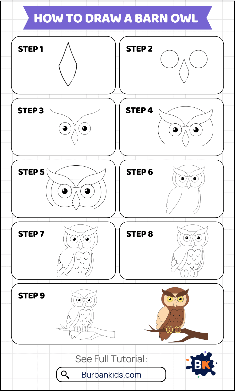 How to Draw a Barn Owl How to Draw a Barn Owl