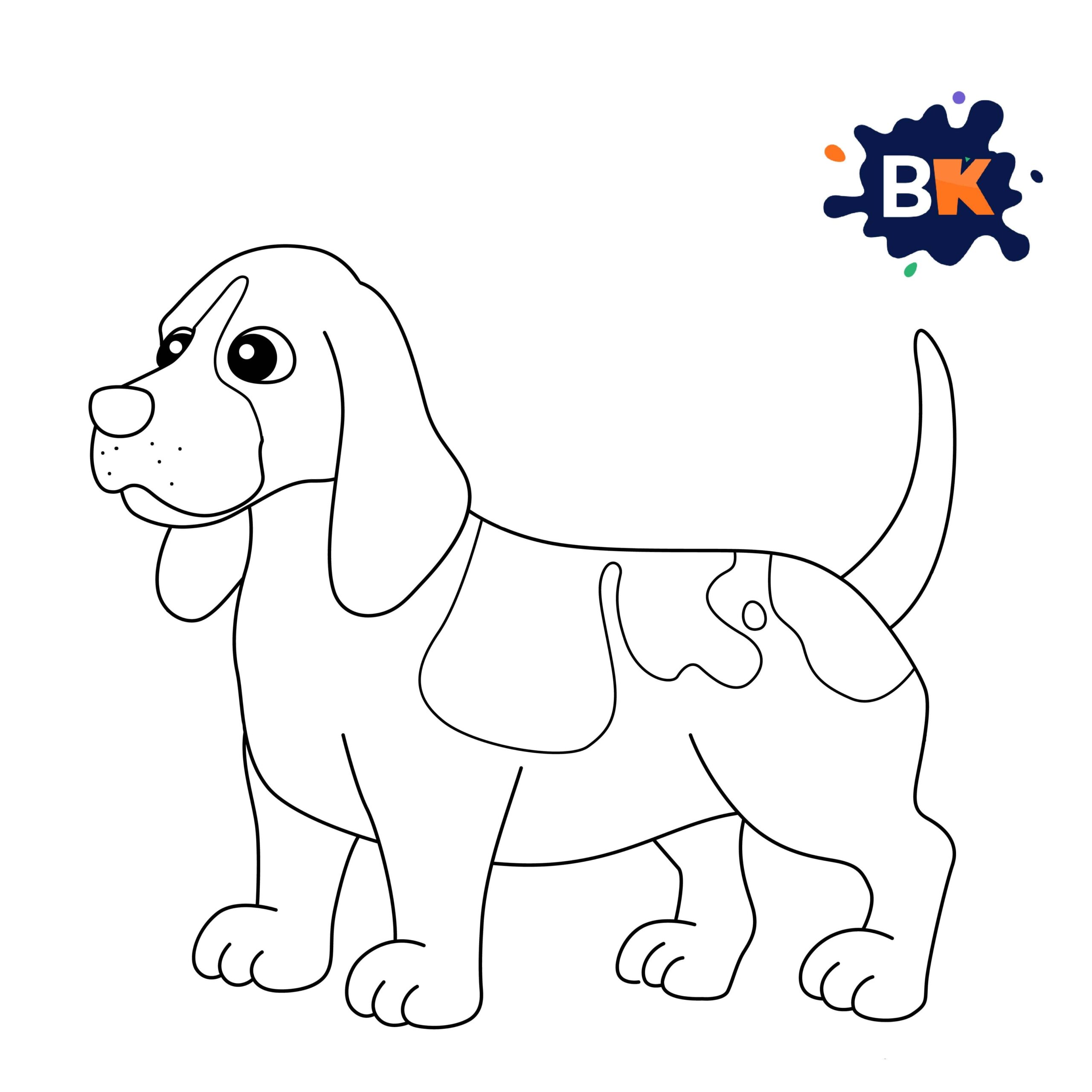 How to Draw a Basset Hound Step 10 How to Draw a Basset Hound Step 10