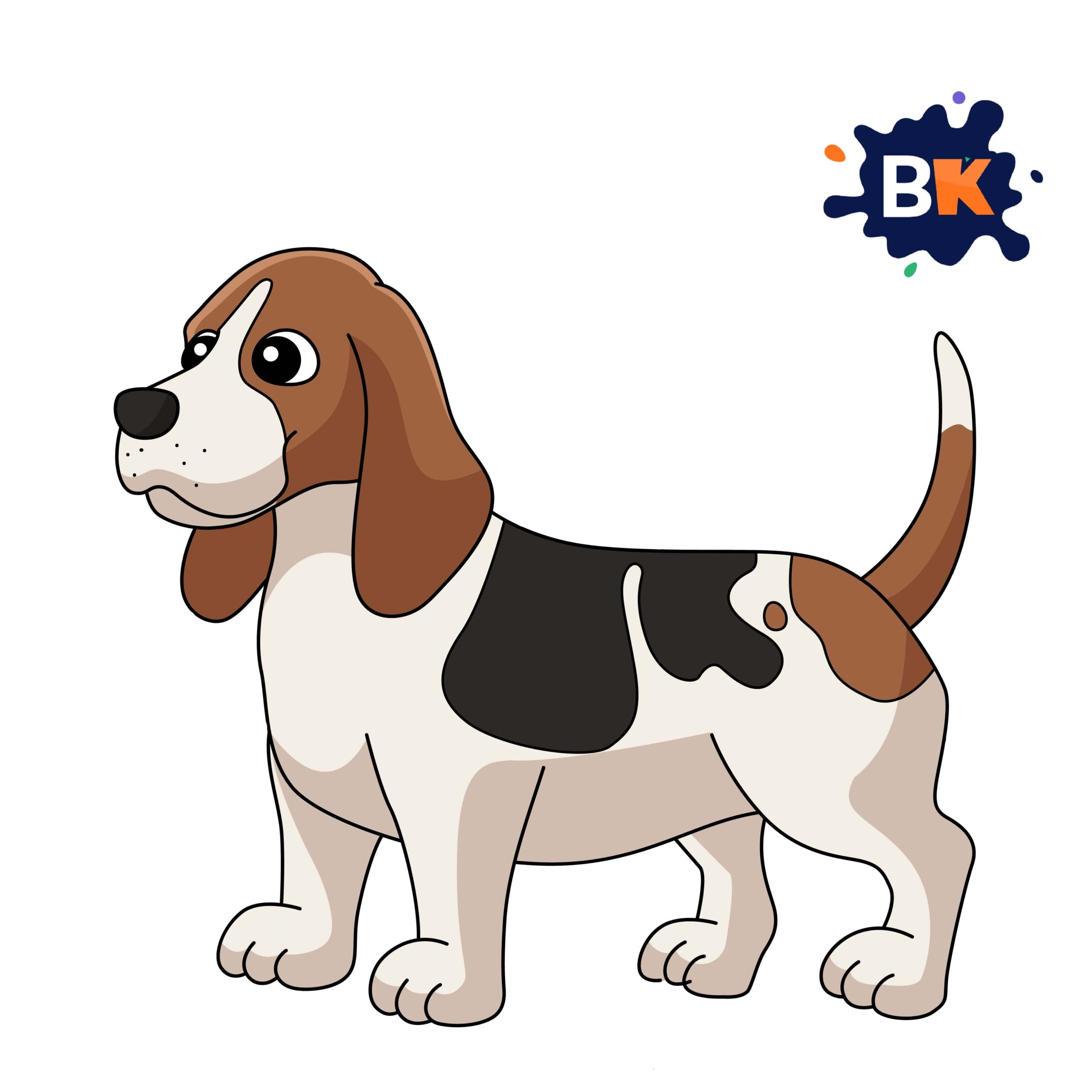 How to Draw a Basset Hound Step 11 How to Draw a Basset Hound Step 11