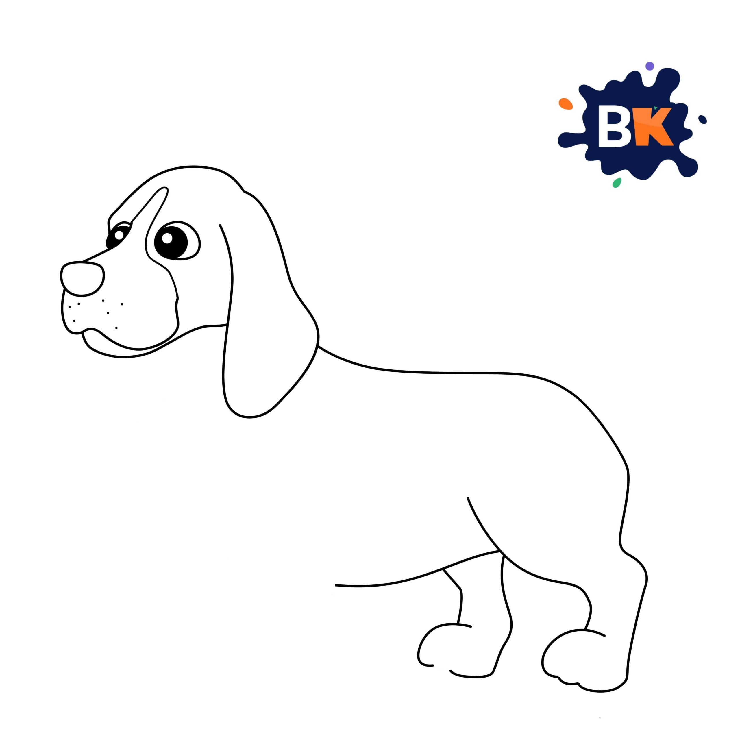 How to Draw a Basset Hound Step 6 How to Draw a Basset Hound Step 6