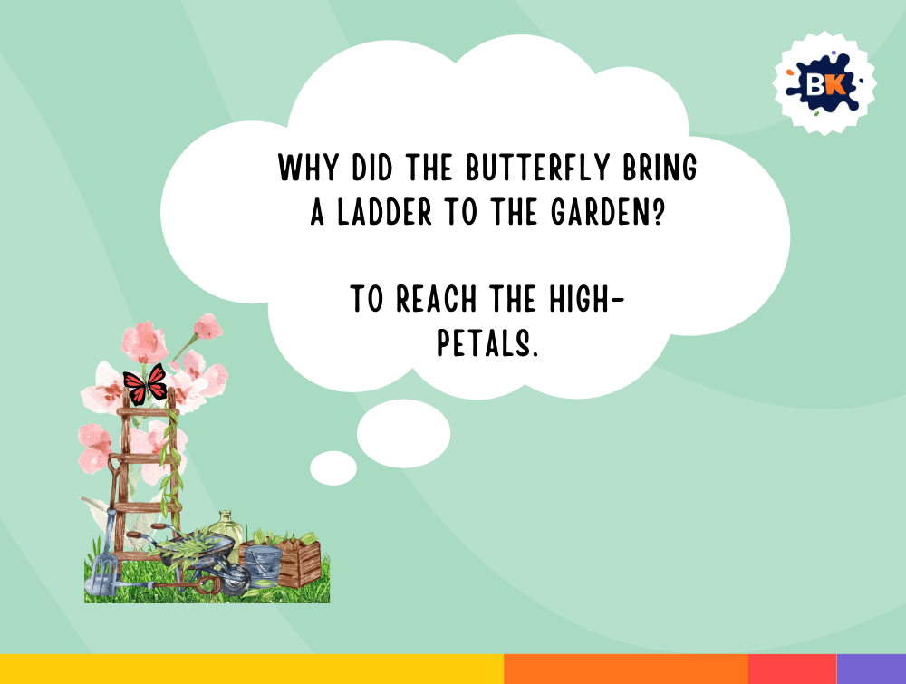 Interesting Butterfly Riddles For Kids