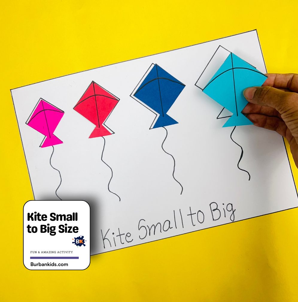 Kite Small to Big Size Kite Small to Big Size