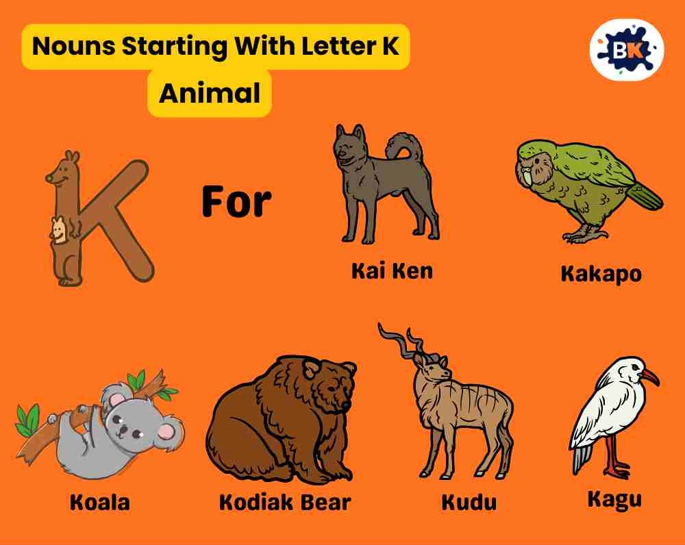 Nouns Starting With Letter K- Animal For Kids Nouns Starting With Letter K- Animal For Kids