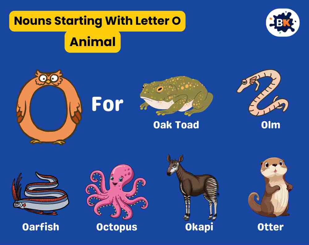 Nouns Starting With Letter O- Animal For Kids Nouns Starting With Letter O- Animal For Kids