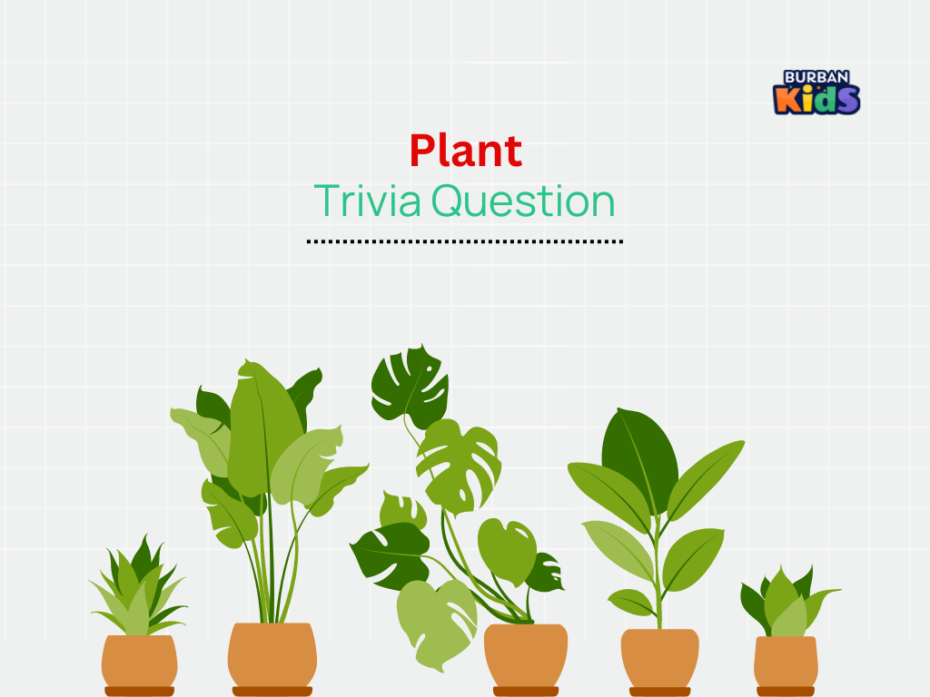 Plant Trivia Question