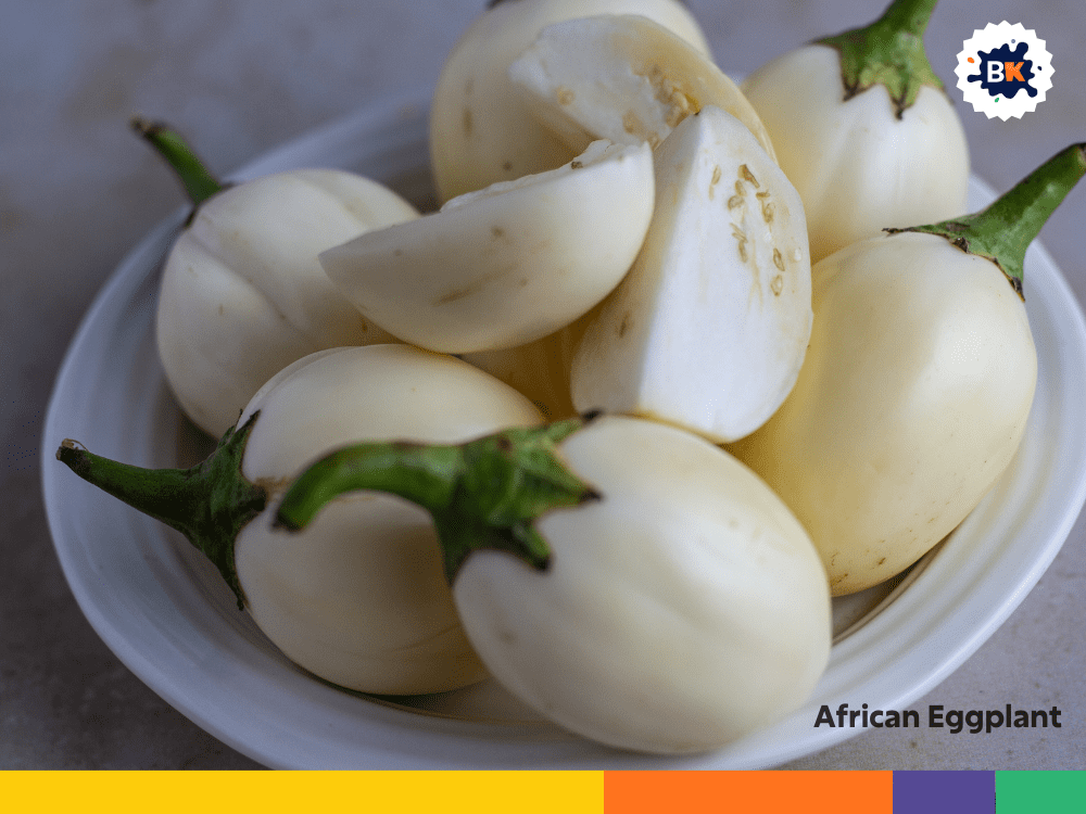 African Eggplant African Eggplant