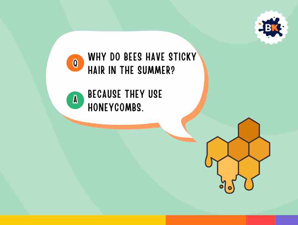 Amazing Summer Riddles For Kids